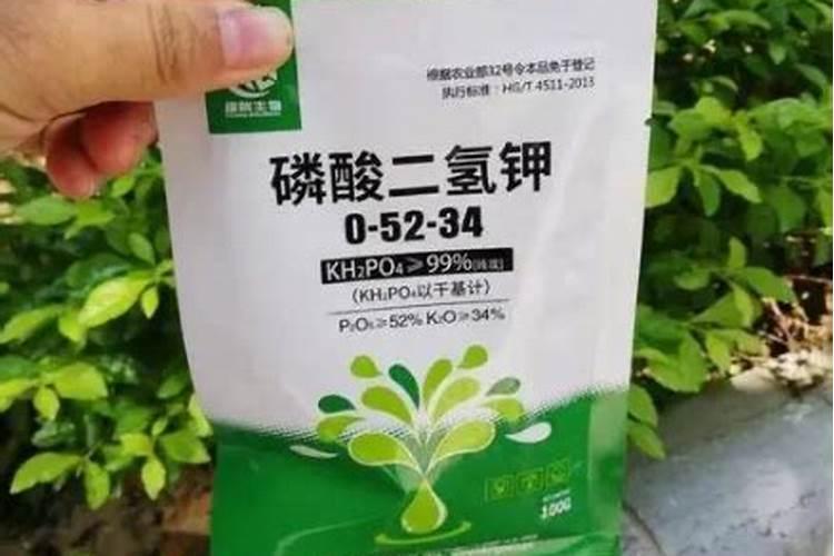 磷酸二氢钾根施方法