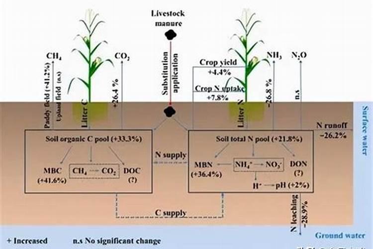 氨基酸肥料可以和磷肥一起用吗？