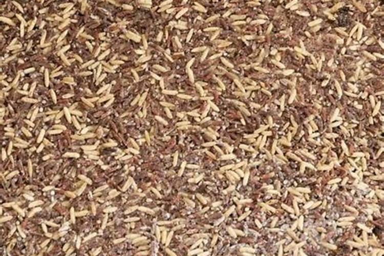 高麟水溶肥有哪些