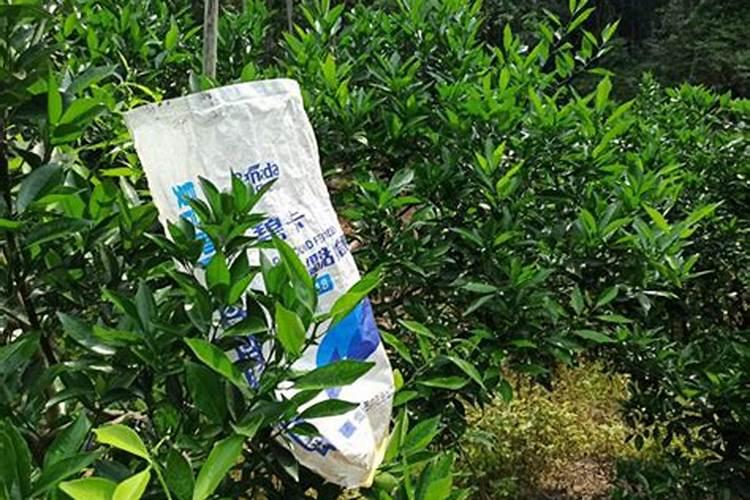 水肥发酵方法,水肥是酸性还是碱性