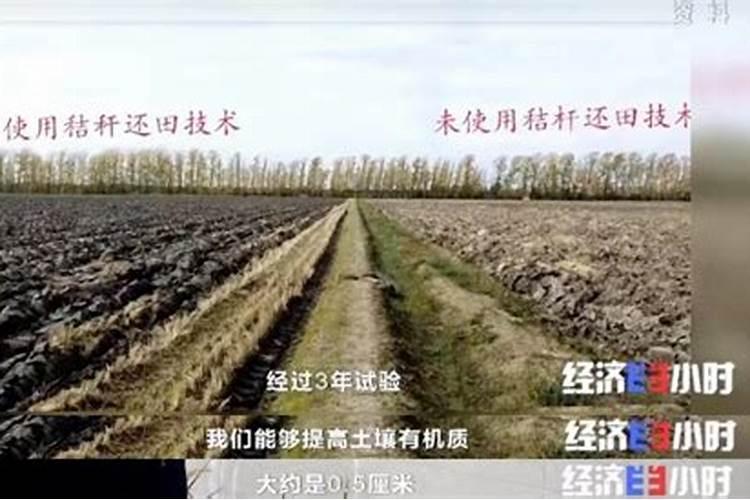 黑土地告急!专家称东北黑土地生产力下降20%,这是什么原因造成的？