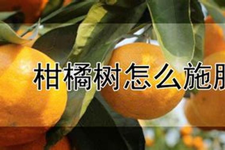 亚磷酸钾果树种植方法 亚磷酸钾果树怎么种