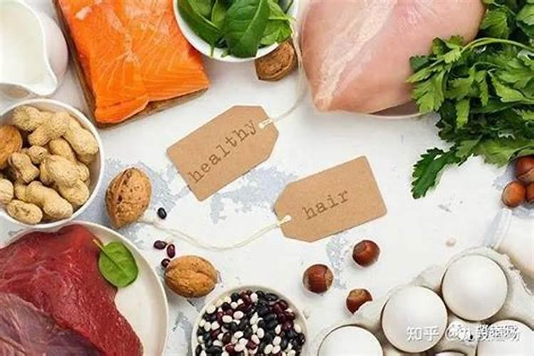 植物蛋白和动物蛋白哪个好