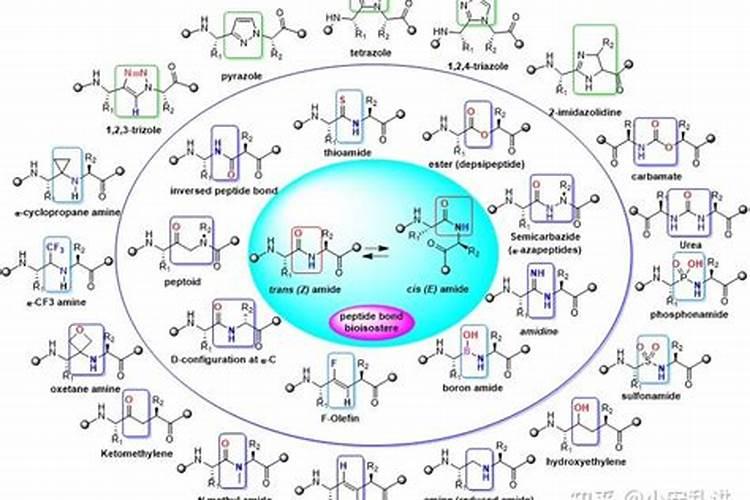 铵态氮肥有哪些,什么叫氨态氮肥