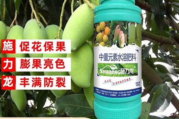 冬番茄受冻后还能快速恢复吗？该怎么做呢？