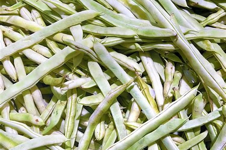 豆角的热量高吗？