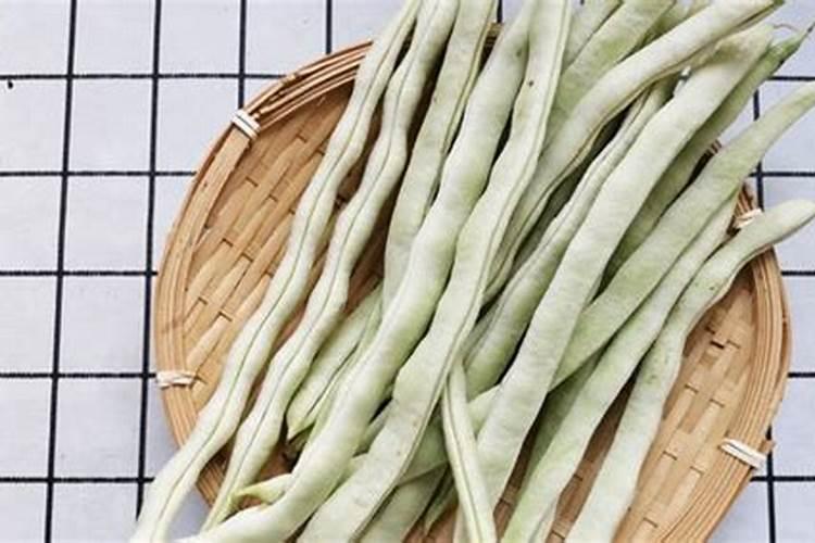 喂奶可以吃豆角吗