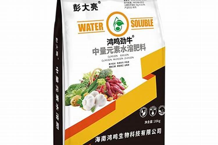 车前草的食用方法