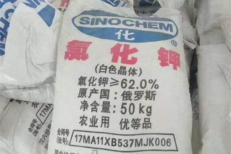 山东临沂不到5月1号就有种地瓜的了吗？