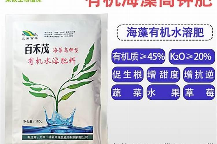 高温天气草莓苗冲什么肥料好呢