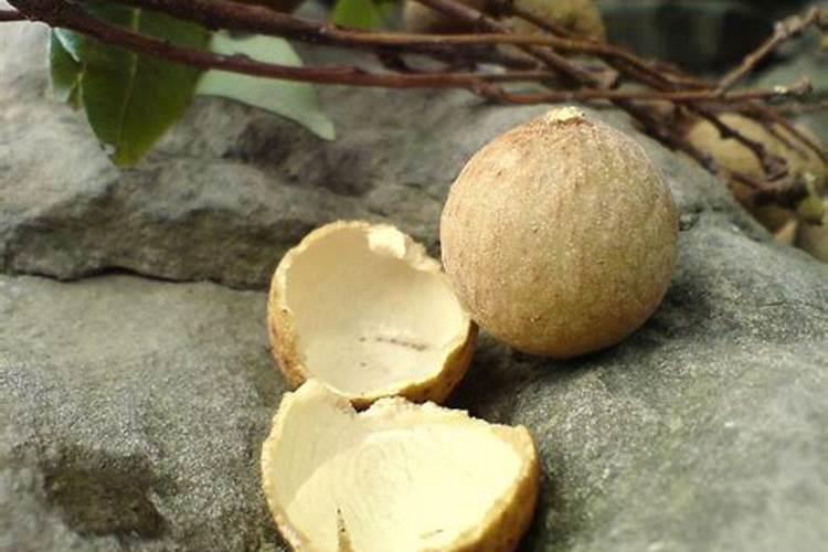 半沙半土种花生做基肥用什么肥料好高产？