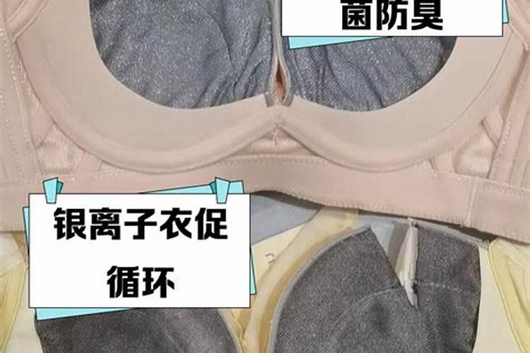 蕙兰花谢后如何养护