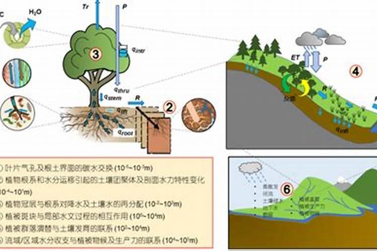 求雷雨制造氮肥的过程