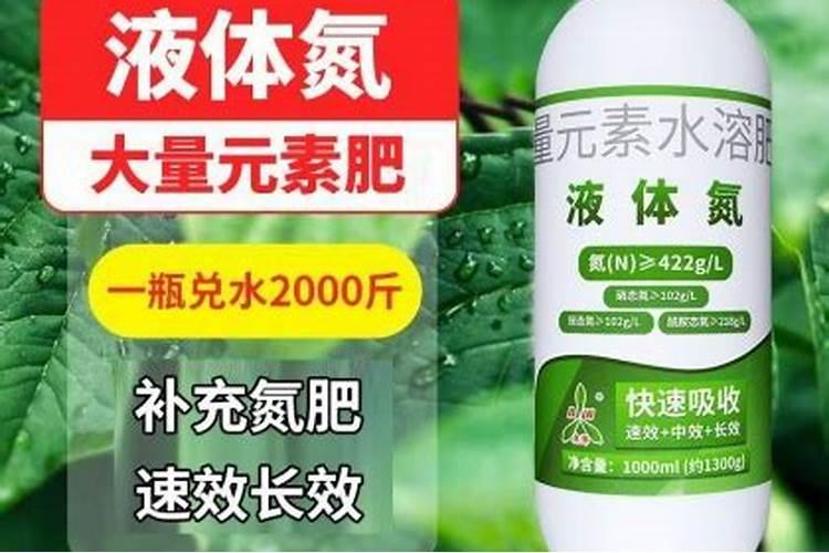 一亩地的油菜能出多少斤菜籽