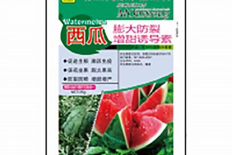 种西瓜什么肥料最好