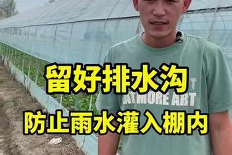 实用的大棚蔬菜防“三害”,冷冬太实用了!