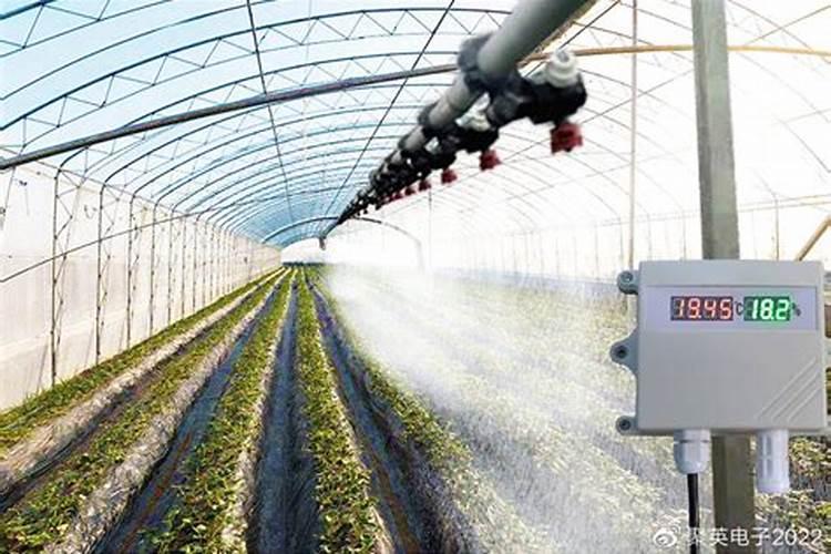 塑料大棚内的有害气体和防除方法