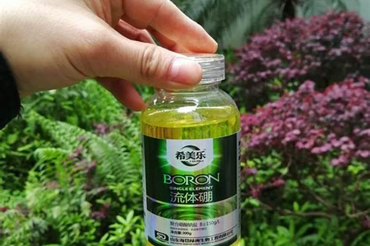 怎么辨别真假水溶肥