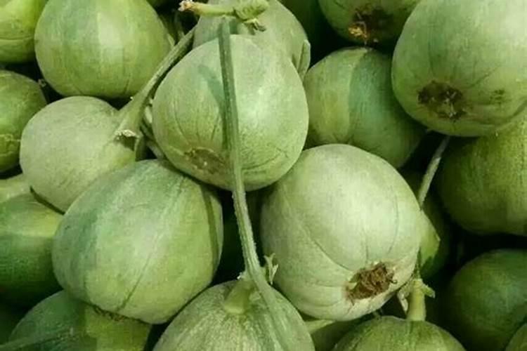 “万能”的芸苔素内酯,你用对了吗？附最全使用方案