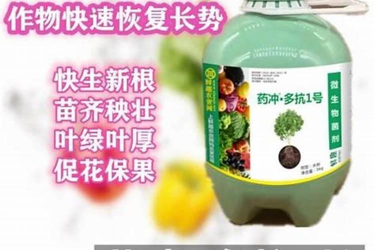 水溶肥新赛道冠军横空出世,德国巴斯夫维百锁与5ALA造就雅拉至尊!百度...