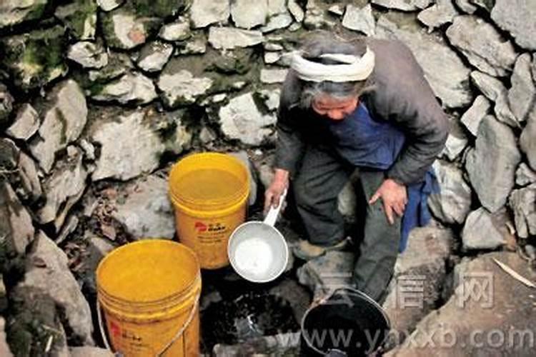 蔬菜的缺磷症是由哪些原因引起的？