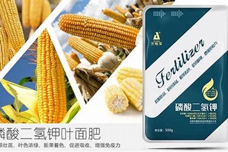 玉米金大棒叶面肥多少钱一瓶
