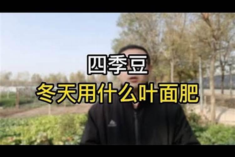 四季豆叶子打焉了是怎么回事