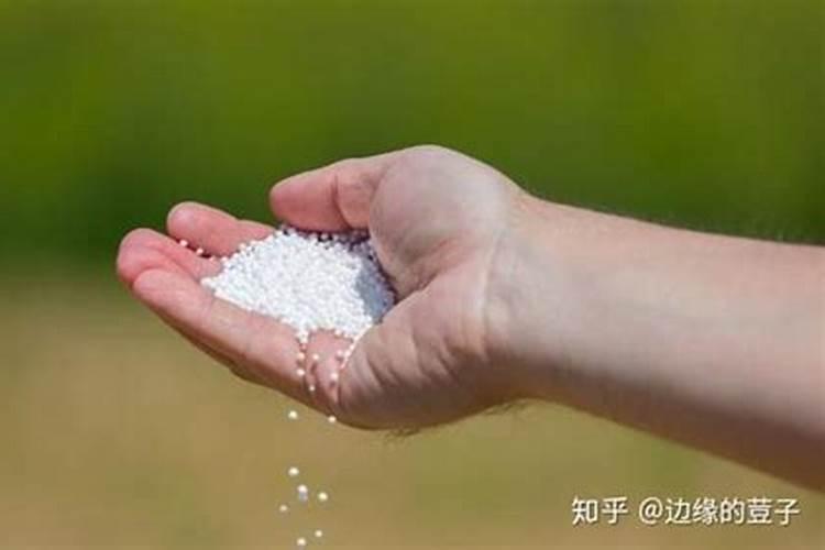 尿素能腐烂玉米秸秆吗 尿素能不能腐烂玉米秸秆