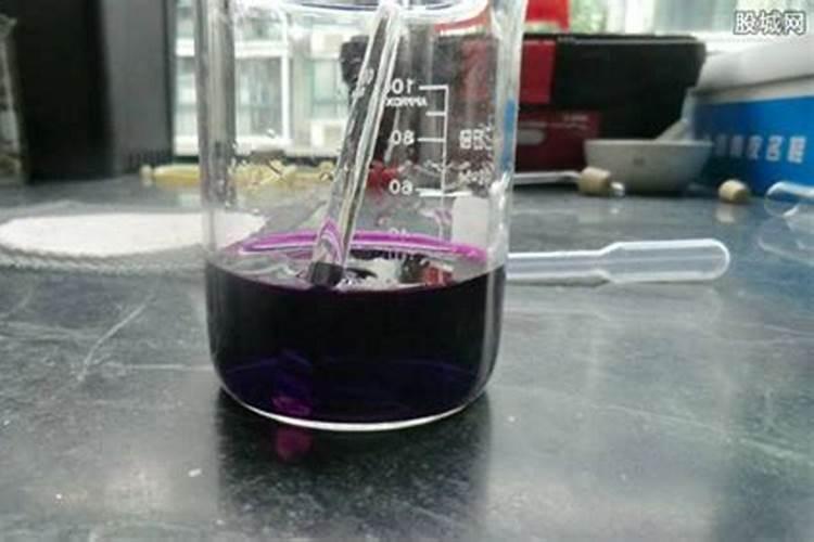 墨兰叶子卷曲怎么办,遮阴防晒追施磷肥