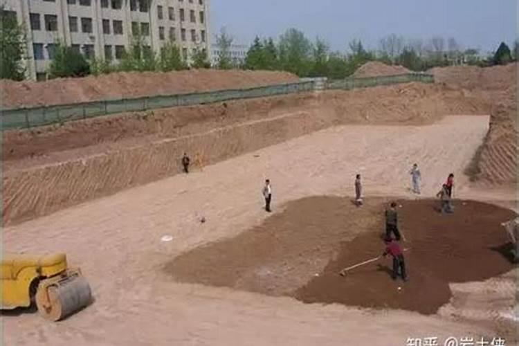 问一下各位水田地上氯化钾好还是硫酸钾好？应该上什么钾肥？应该上...