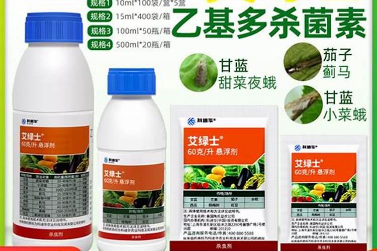 专家们我家茄子这样是怎么回事啊？茄子要打叶子吗？具体怎么打