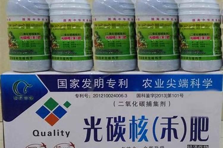 枇杷壮果用什么肥料？枇杷树壮果期的需肥特点和施肥管理建议