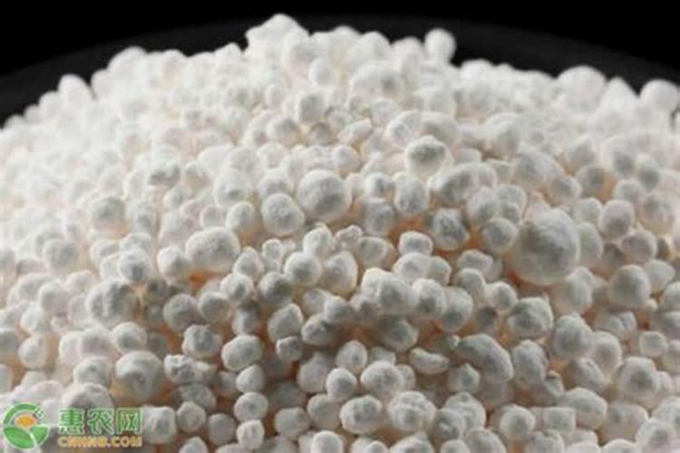 钾肥是什么肥料 植物缺少钾肥会怎么样