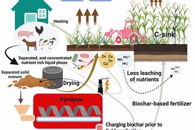 羊粪属于氮肥还是磷肥