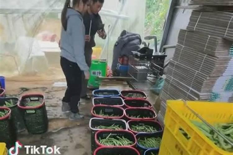 花多多肥料使用方法 花多多肥料的使用方法