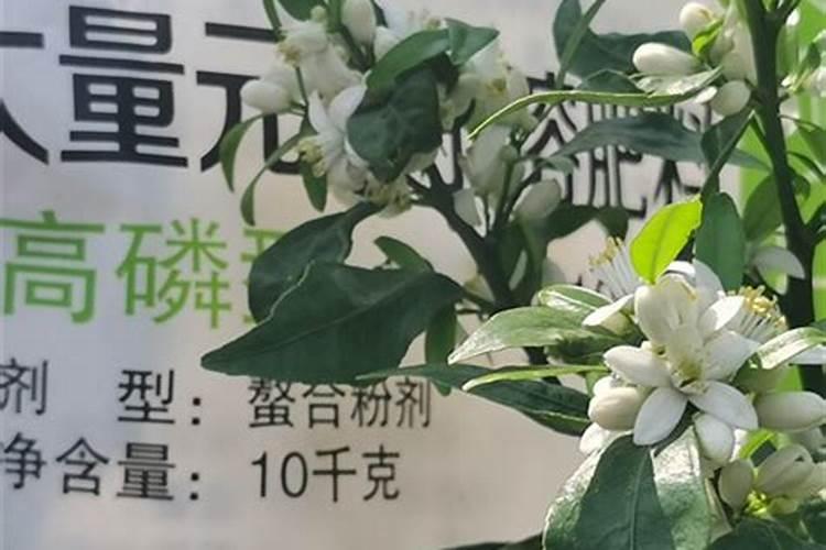 镁肥多少钱一包