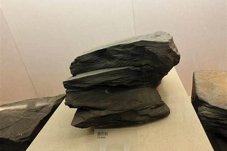 油页岩形成的过程