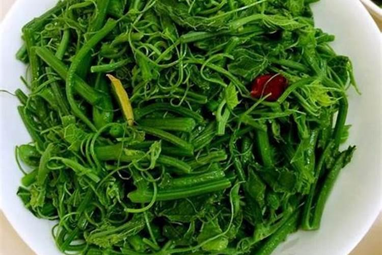 丝瓜追肥的正确方法