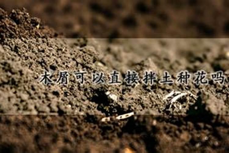 有机肥料可以加营养土吗？