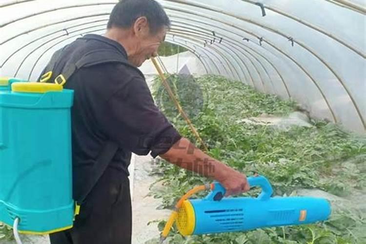 康仆硼肥叶面肥怎么兑水