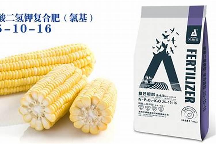 控释肥的特点是什么,控释肥和缓释肥有哪些区别