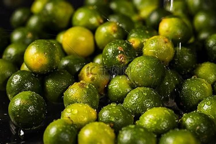 盆栽金桔什么时候施肥,不同时期的施肥方法