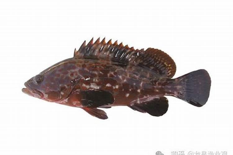 大海有什么宝藏？