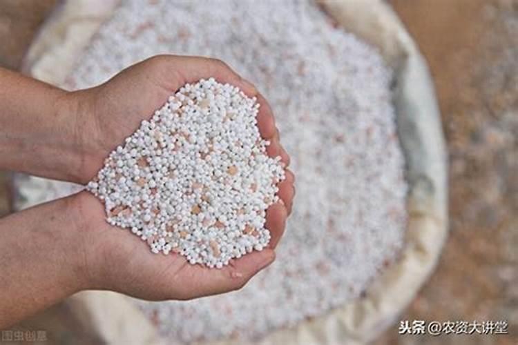 磷酸二铵具备怎样的肥效以及发挥着什么作用？