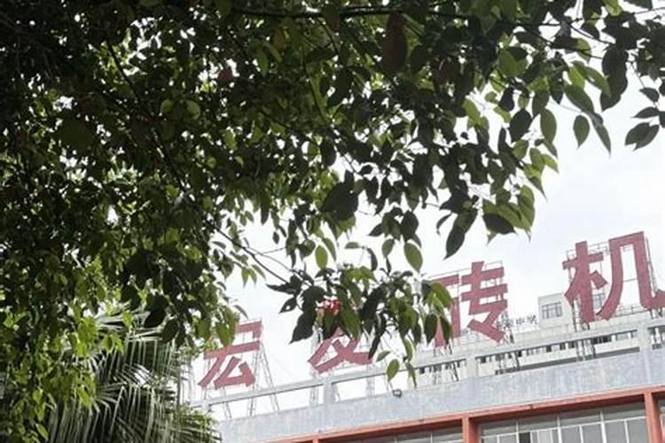 广西金陵农牧集团有限公司历史简介