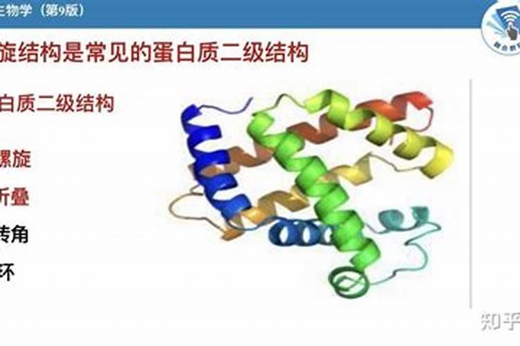 鱼白是鲤鱼的哪部分 含有一种特殊的蛋白质