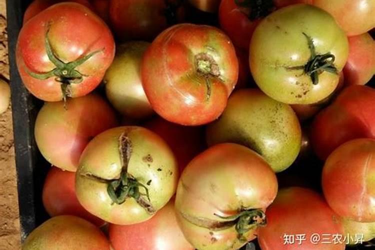 泉林黄腐酸生物有机肥怎么样