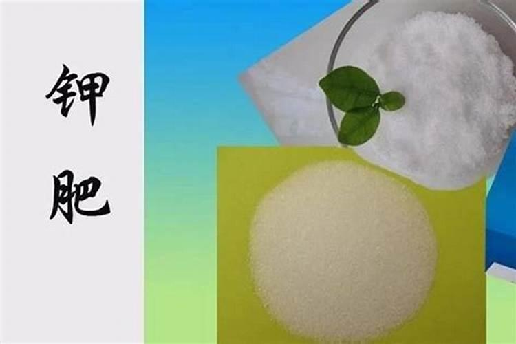 枣树几月份施钾肥好 什么时候施加效果好