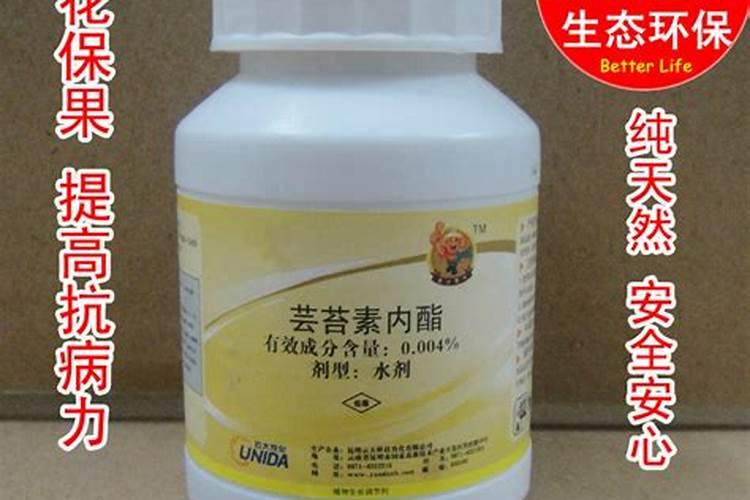 芸苔素注意事项