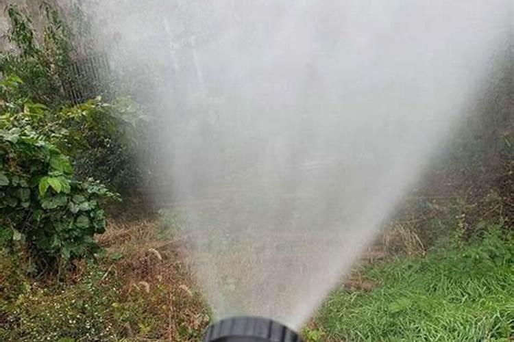 疏菜糖钙的对水比例是多少